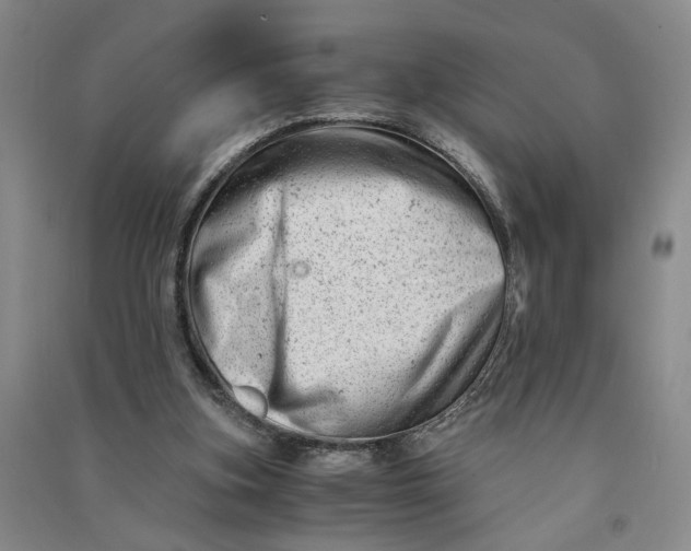 X0000090880155200708171652