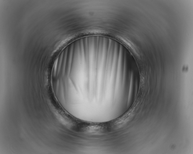 X0000090880158200708171652