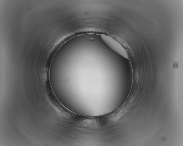 X0000090880160200708171652