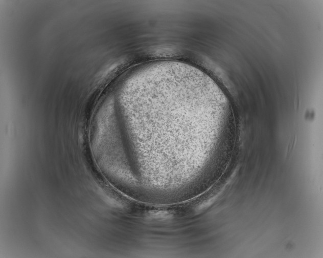 X0000090880161200708171652