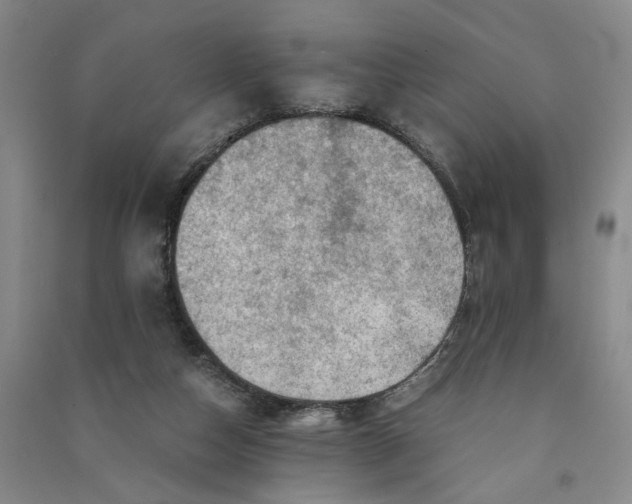 X0000090880162200708171652