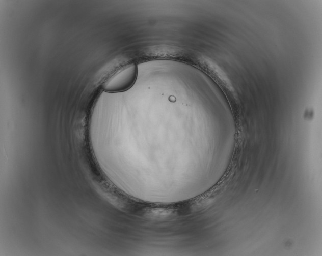 X0000090880163200708171652