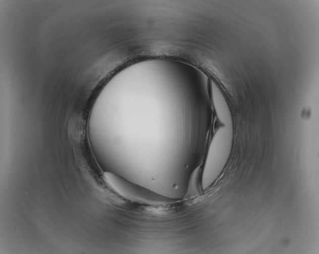 X0000090880164200708171652