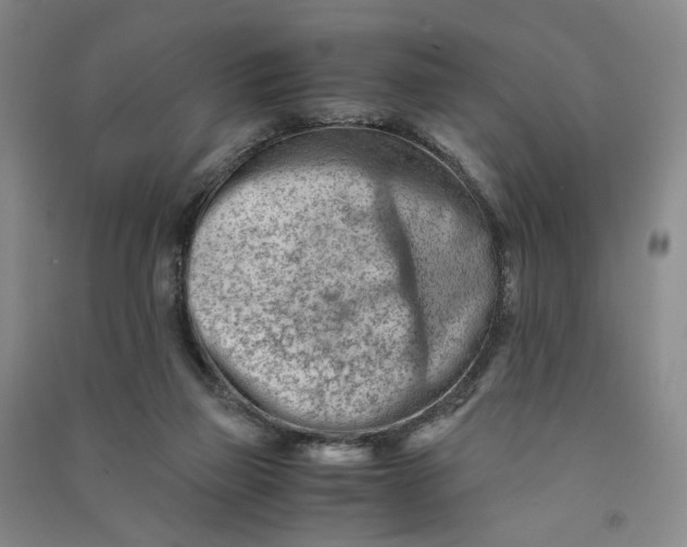 X0000090880165200708171652