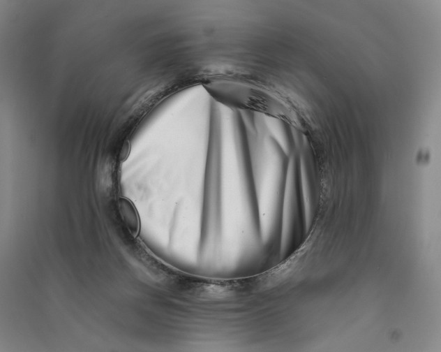 X0000090880166200708171652