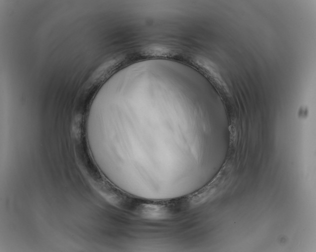 X0000090880167200708171652