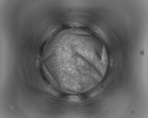 X0000090880169200708171652