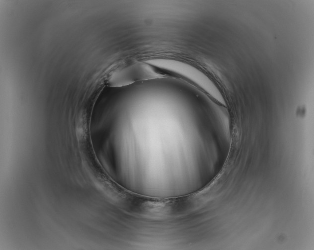 X0000090880170200708171652