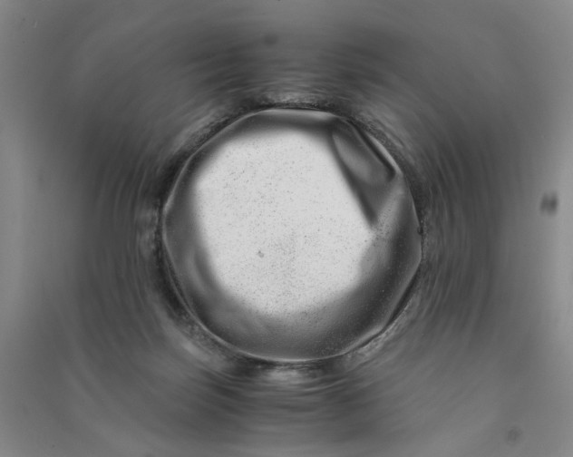 X0000090880171200708171652