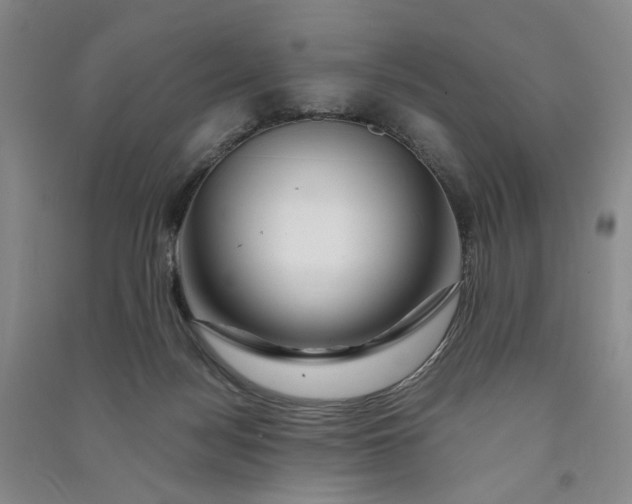 X0000090880172200708171652