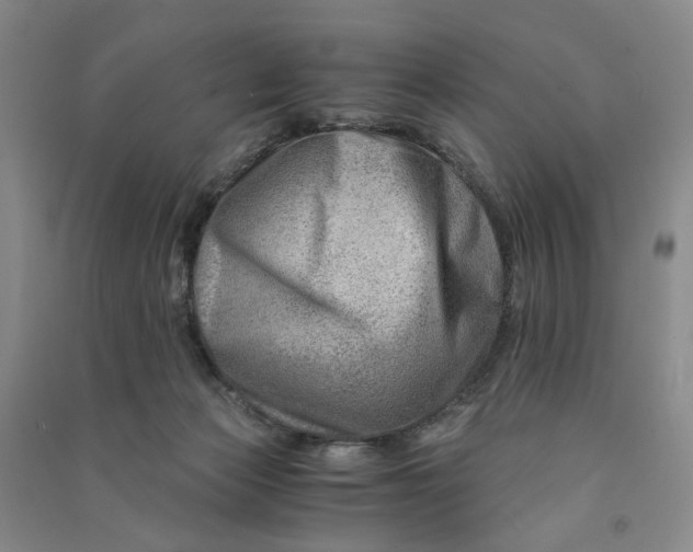 X0000090880173200708171652