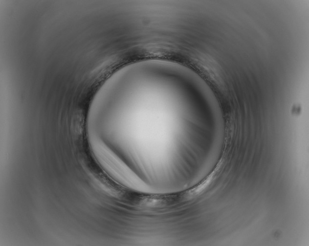 X0000090880174200708171652