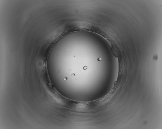 X0000090880176200708171653