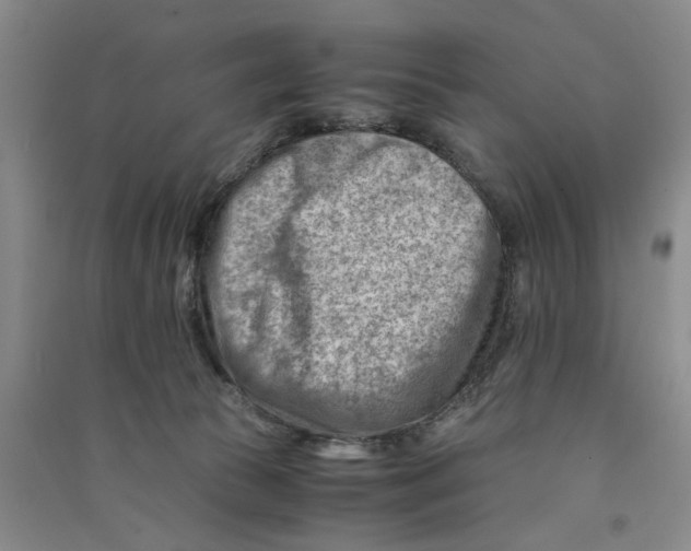 X0000090880177200708171653