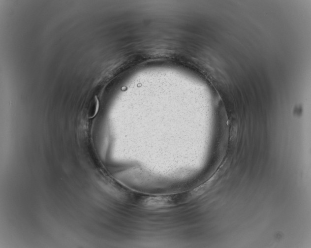 X0000090880179200708171653