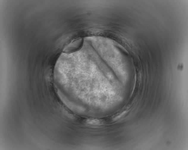 X0000090880181200708171653