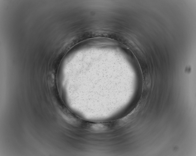 X0000090880183200708171653