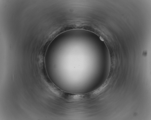 X0000090880184200708171653