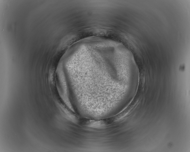 X0000090880185200708171653