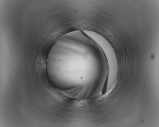 X0000090880186200708171653