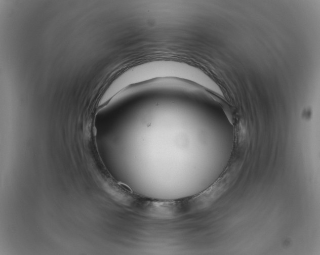 X0000090880188200708171653