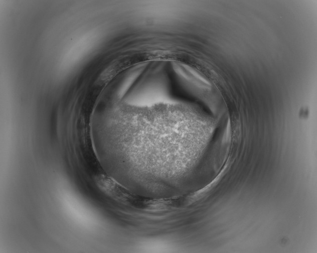 X0000090880191200708171653