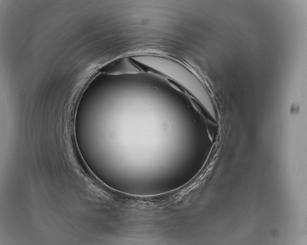 X0000090880193200708171652