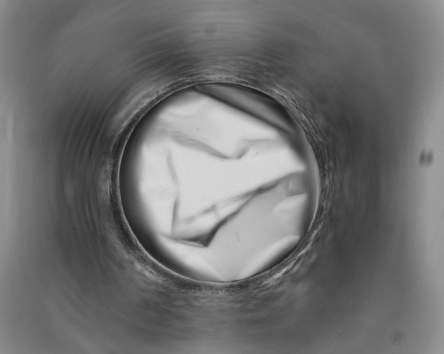 X0000090880194200708171652