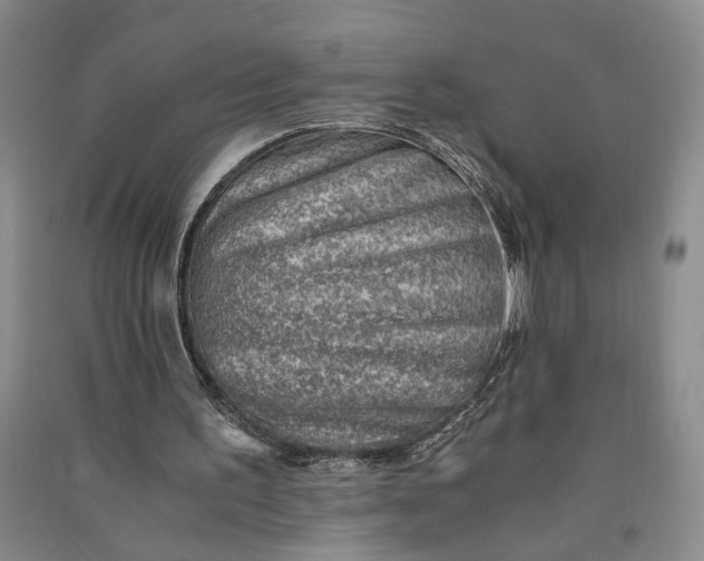 X0000090880195200708171652