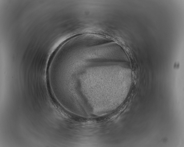 X0000090880196200708171652