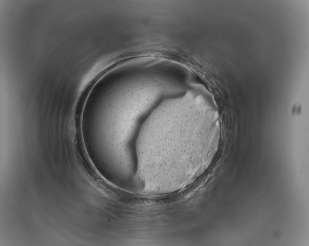 X0000090880198200708171652