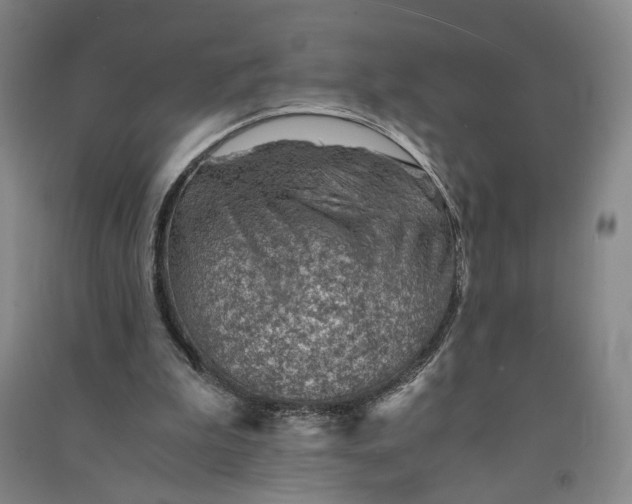 X0000090880199200708171652