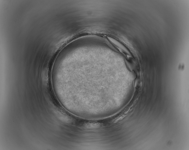 X0000090880202200708171652