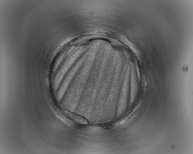 X0000090880203200708171652