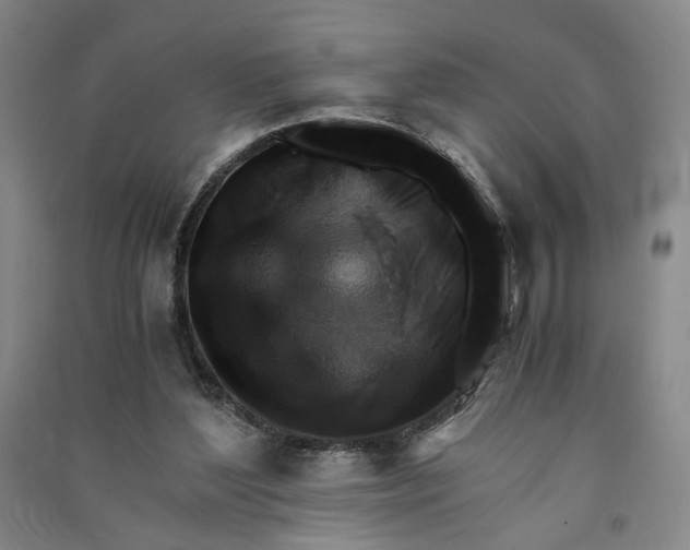 X0000090880204200708171652