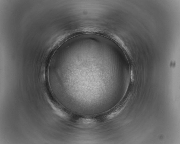 X0000090880205200708171652