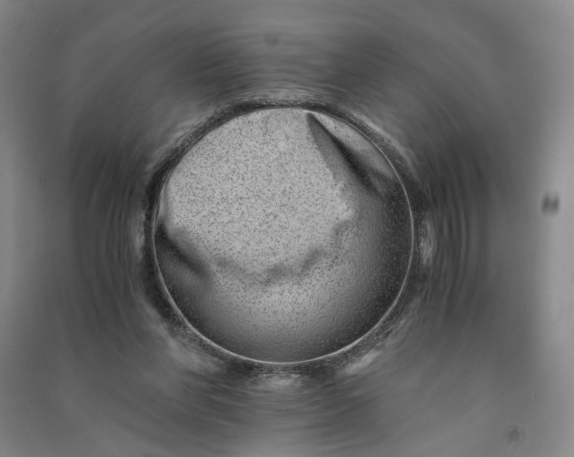 X0000090880206200708171652