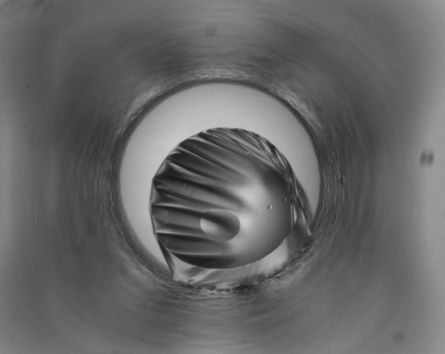 X0000090880207200708171652