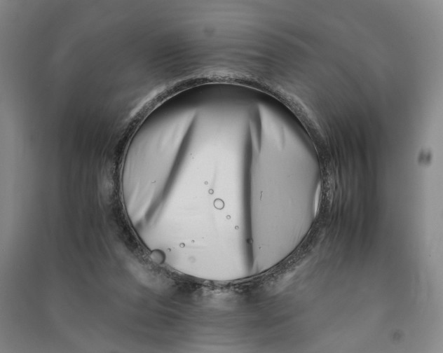 X0000090880208200708171652