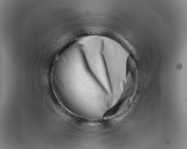 X0000090880209200708171652