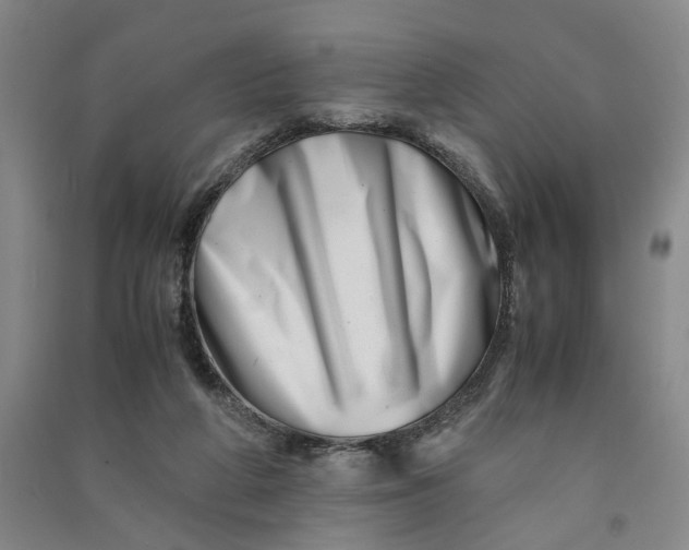 X0000090880210200708171652