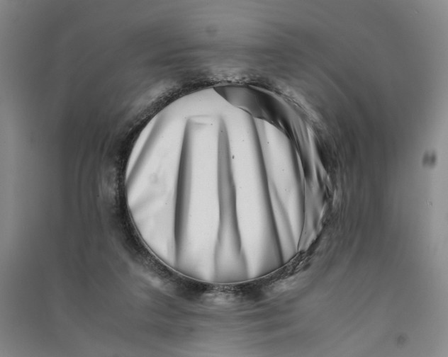 X0000090880211200708171652