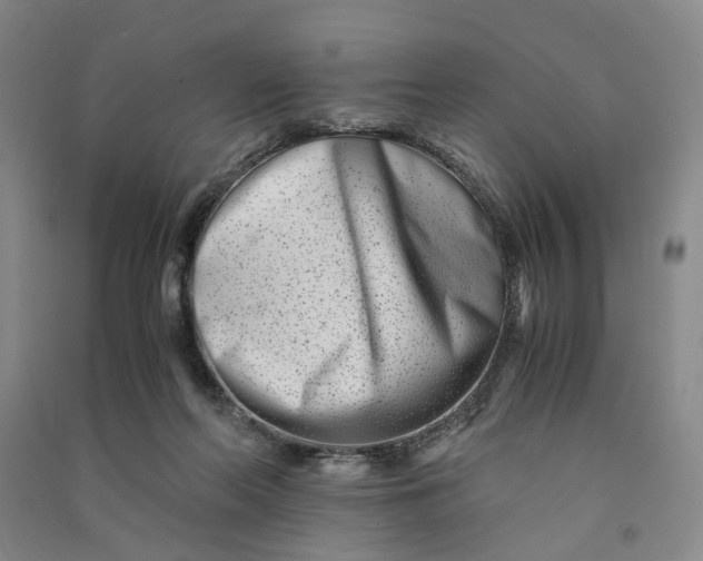 X0000090880214200708171652