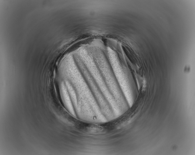 X0000090880215200708171652