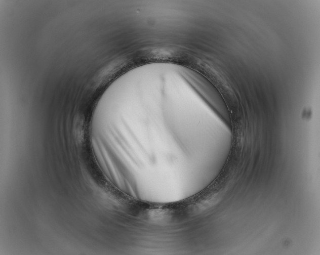 X0000090880216200708171652