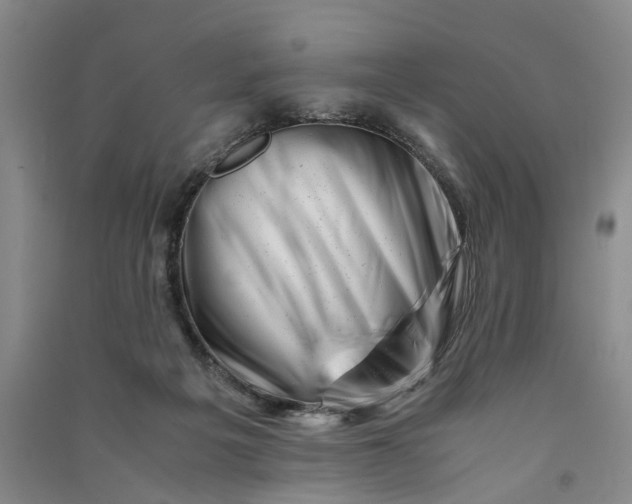 X0000090880217200708171652