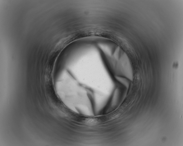 X0000090880218200708171652