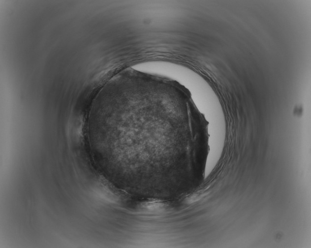 X0000090880219200708171652