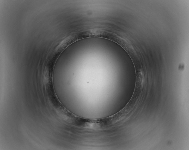 X0000090880220200708171652