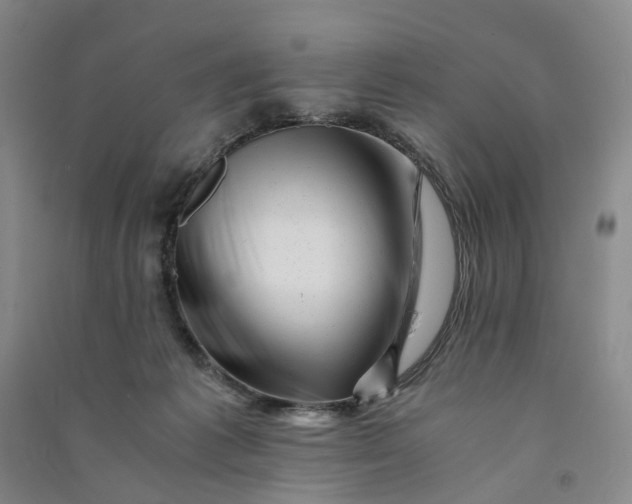 X0000090880221200708171652